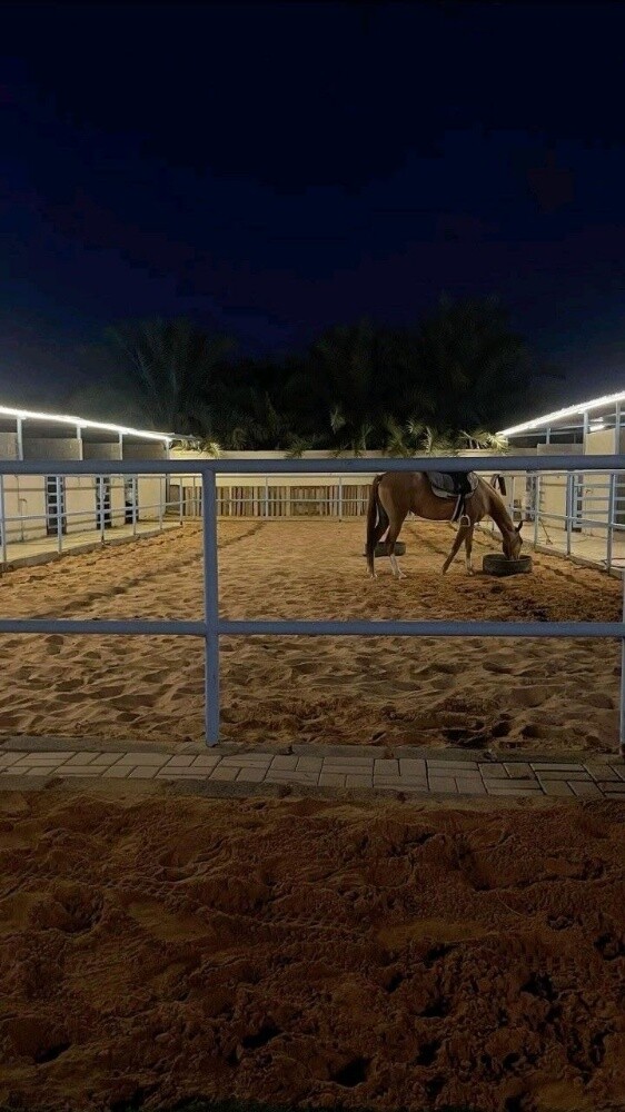 بناء إسطبلات الخيل المتكاملة - 6