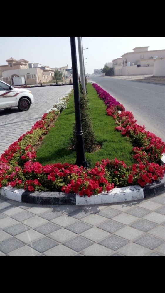 منسق وزراعه ارقى الورود - 1