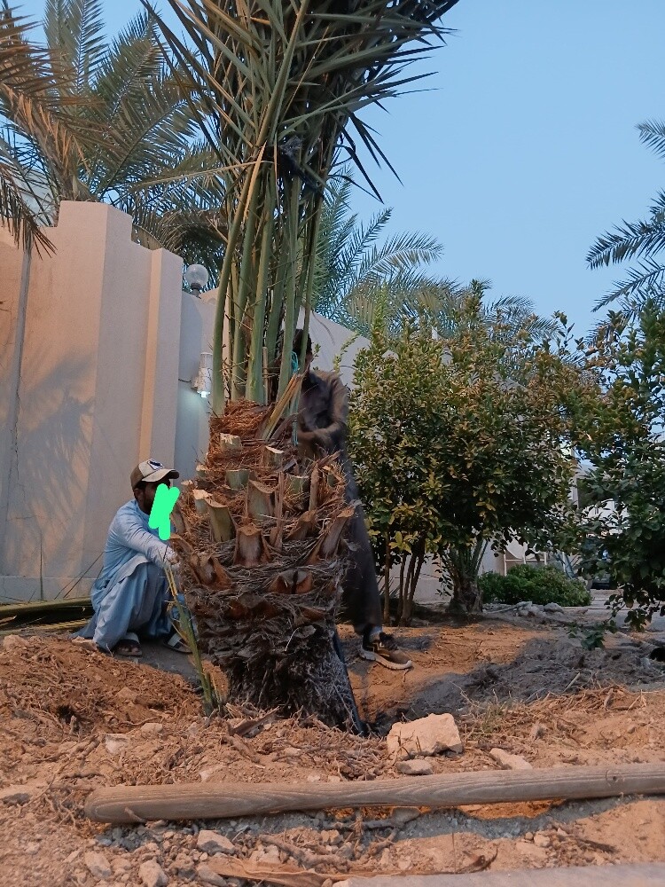 KH ALBALOSHI - 3