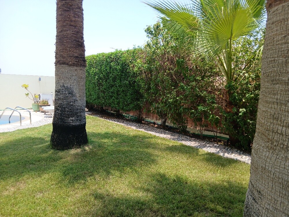 KH ALBALOSHI - 4
