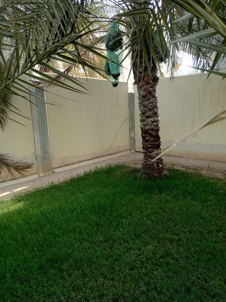Raheem albaloshi - 3