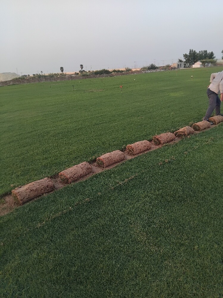 لزراعة وتنسيق الحدايق - 1
