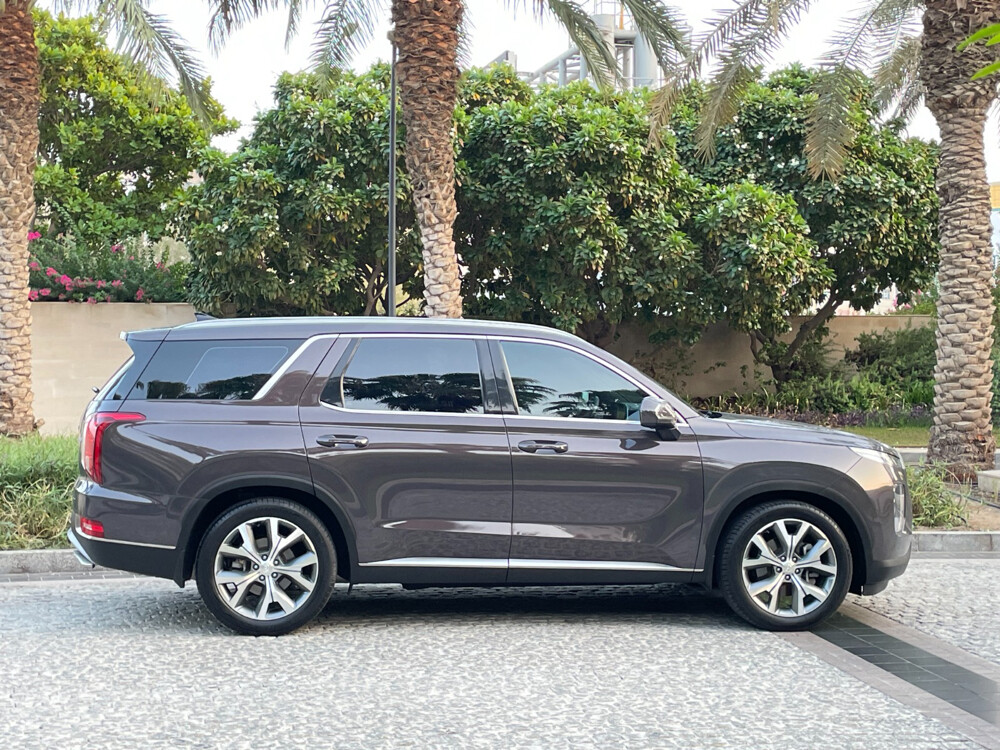 Hyundai Palisade 2020 - 23