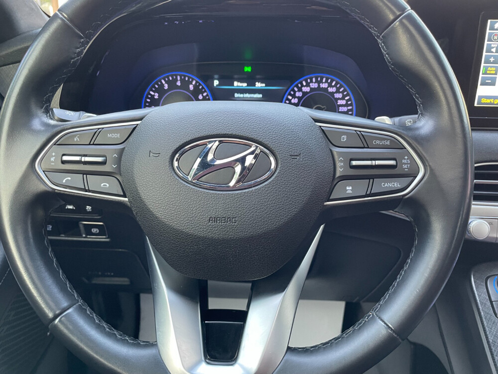 Hyundai Palisade 2020 - 22