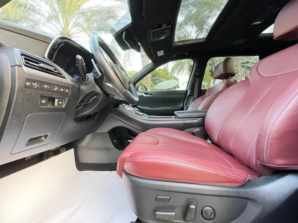 Hyundai Palisade 2020 - 17