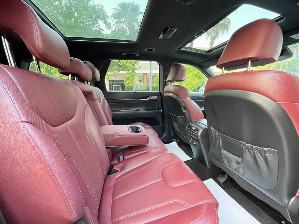 Hyundai Palisade 2020 - 7