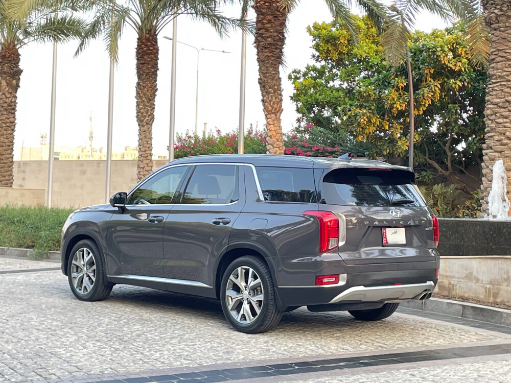Hyundai Palisade 2020 - 3