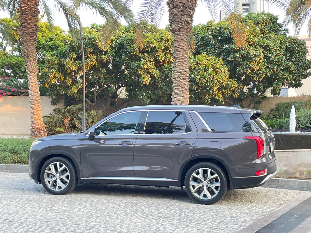 Hyundai Palisade 2020 - 5