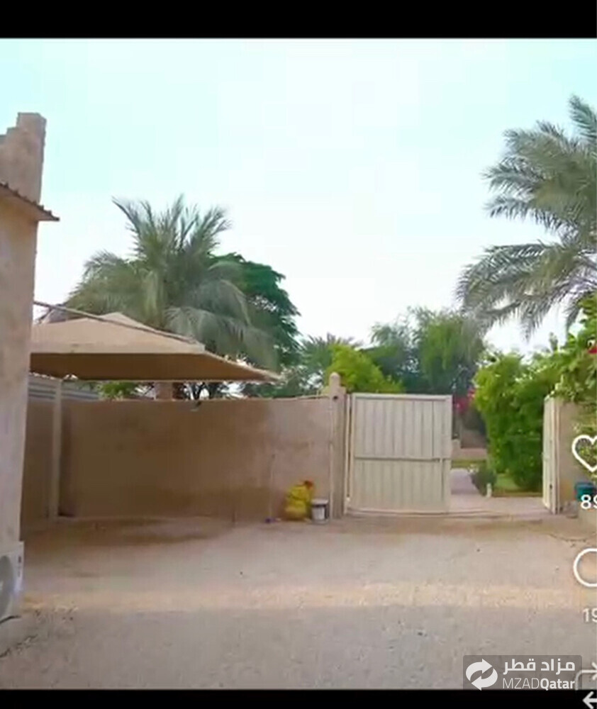 عزبه الريس للبيع 2500 متر  - 9
