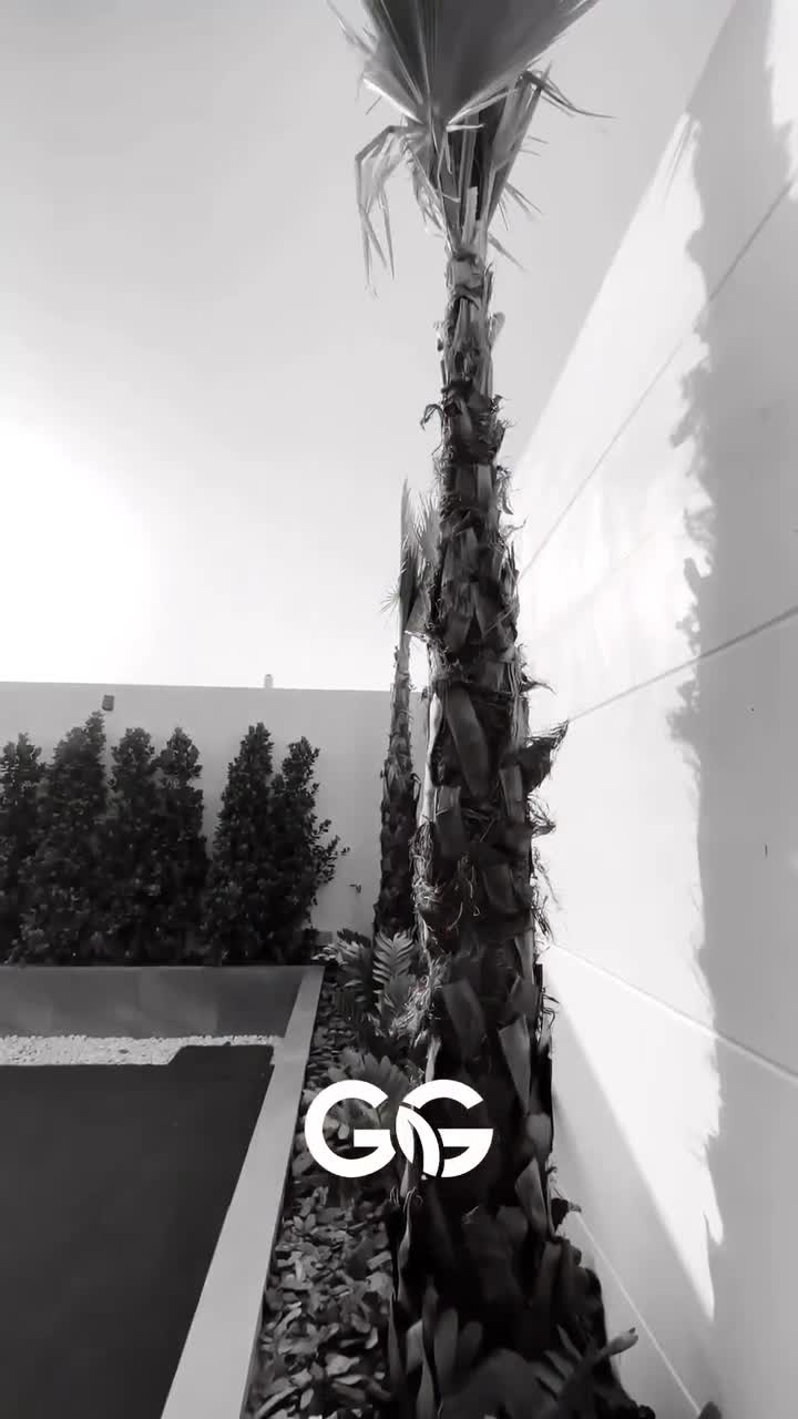 منسق حدائق - 1
