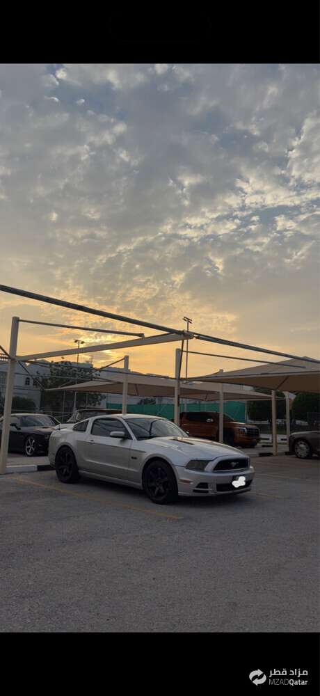 موستنق - 6