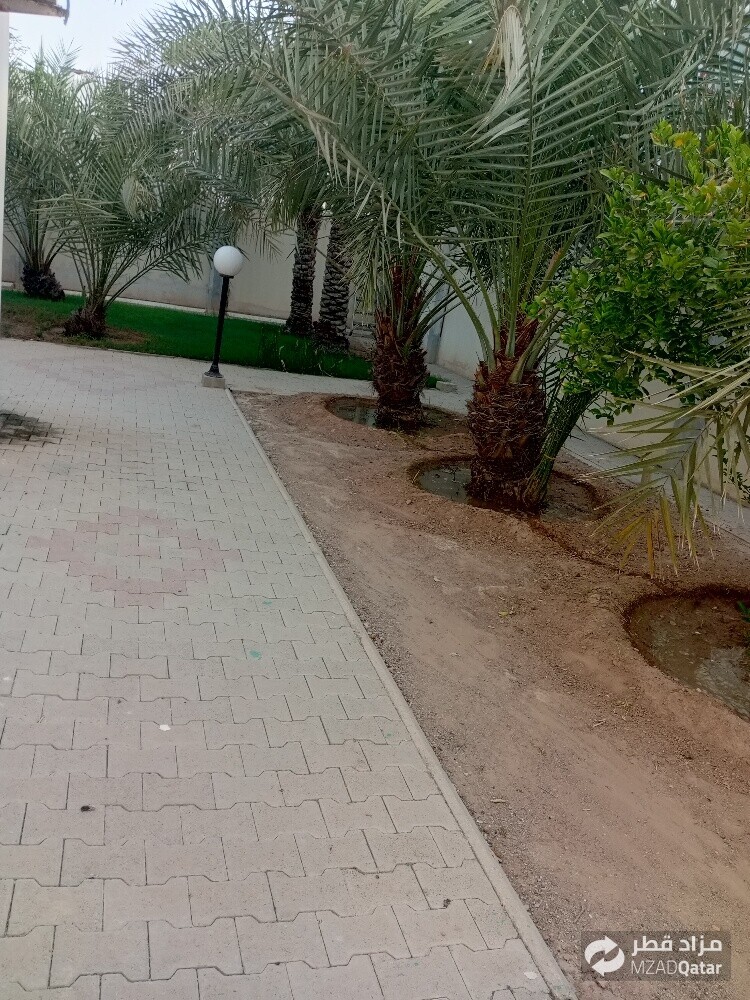 میتاب البلوشی - 1