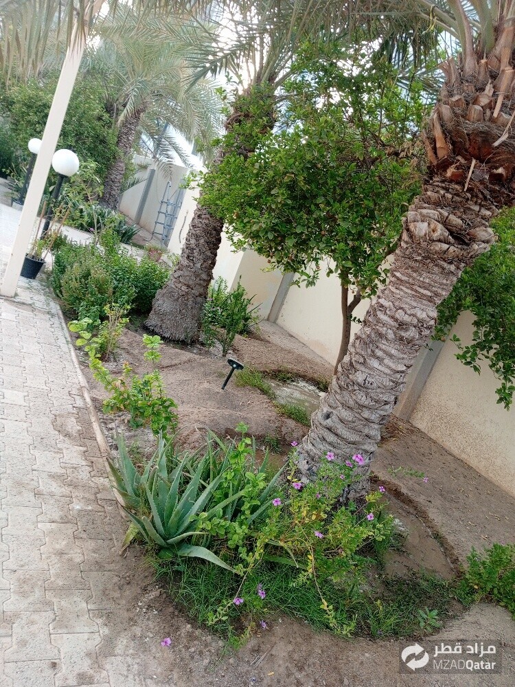 مھراب البلوشی - 6