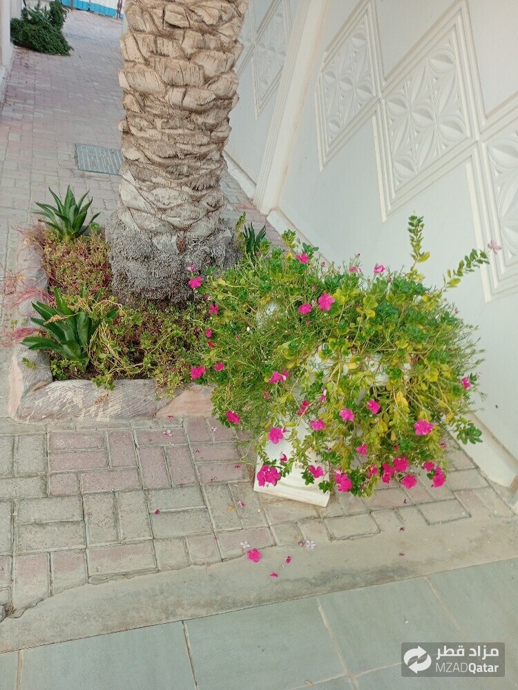 مھراب البلوشی - 1
