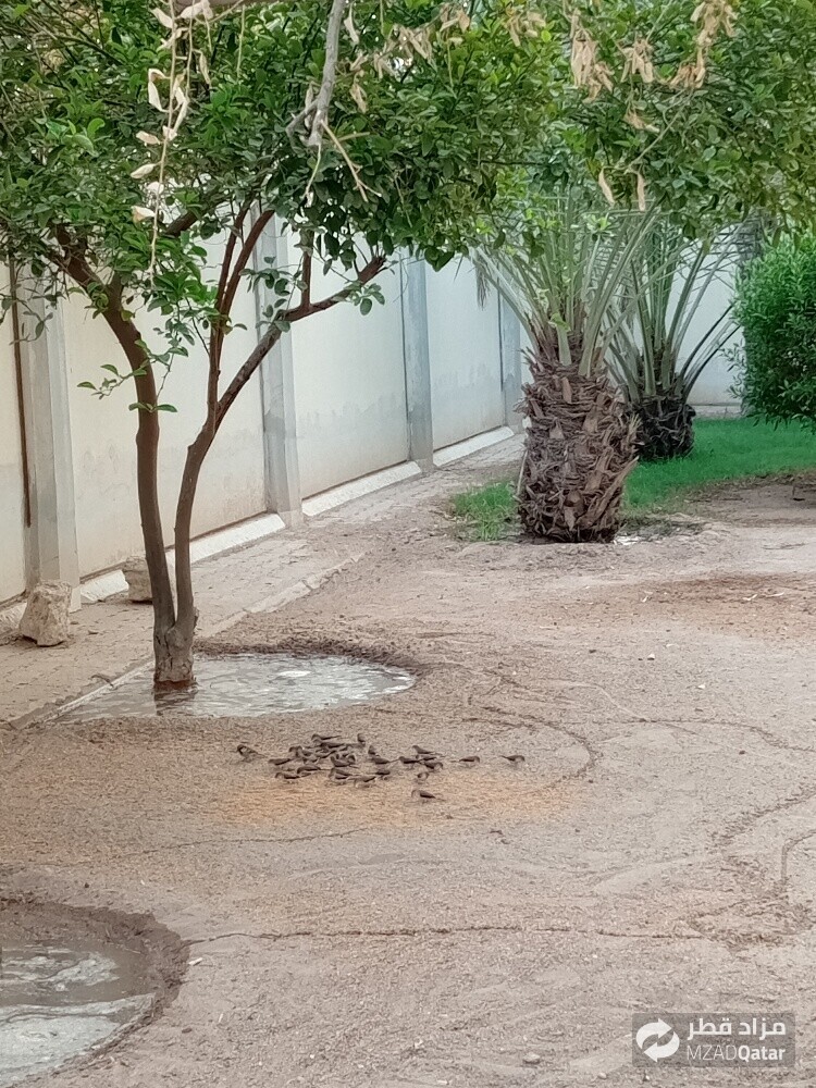 مھراب البلوشی - 7