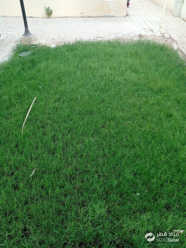 مھراب البلوشی - 9