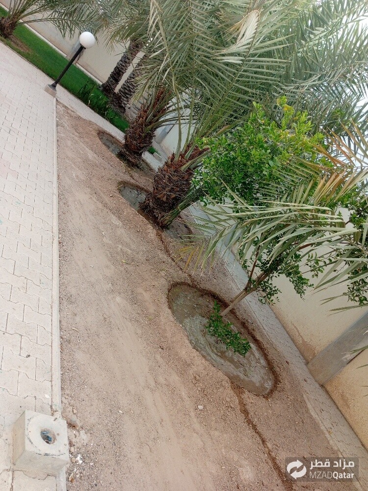 مھراب البلوشی - 4