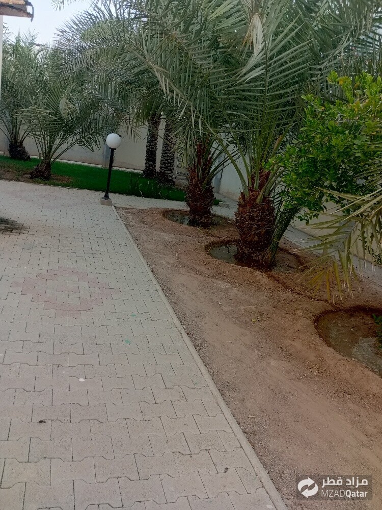 شاشان البلوشی - 7