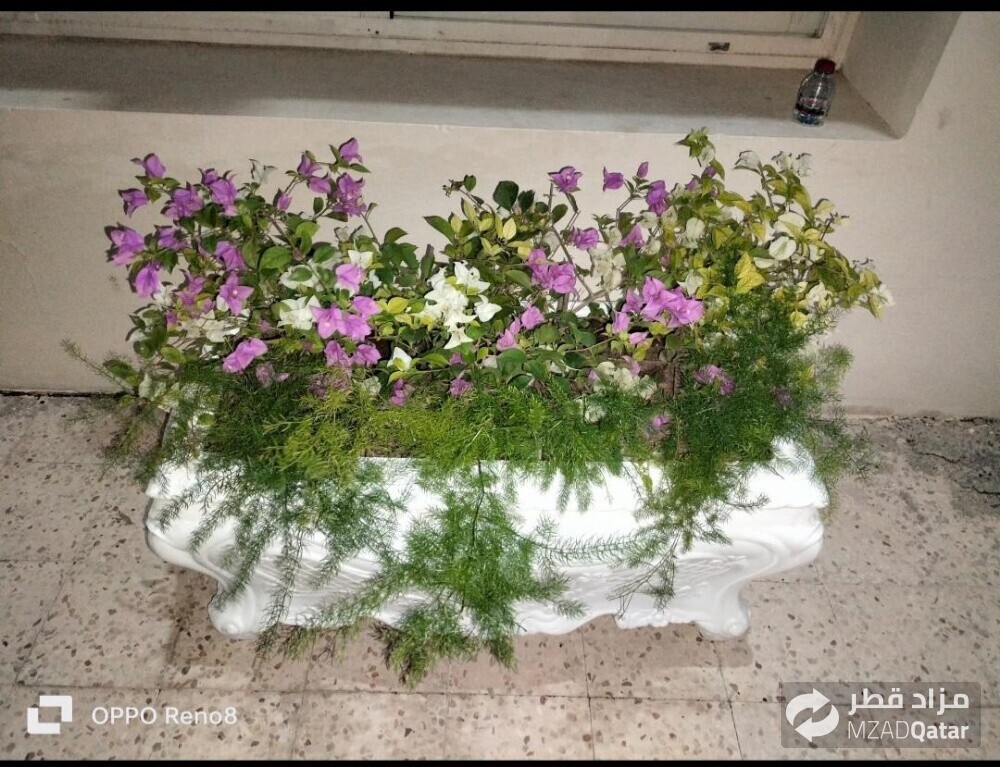نوفر لكم خدمه توريد أحواض الزراعه - 1