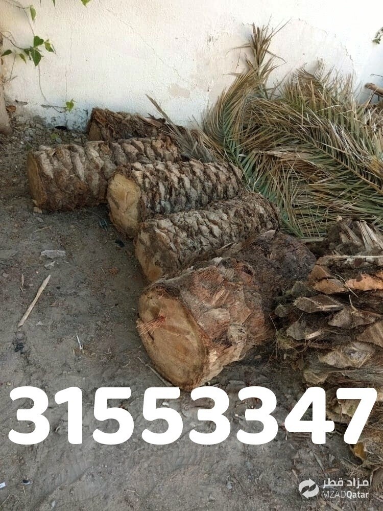 قص وتقطيع الاشجار - 1