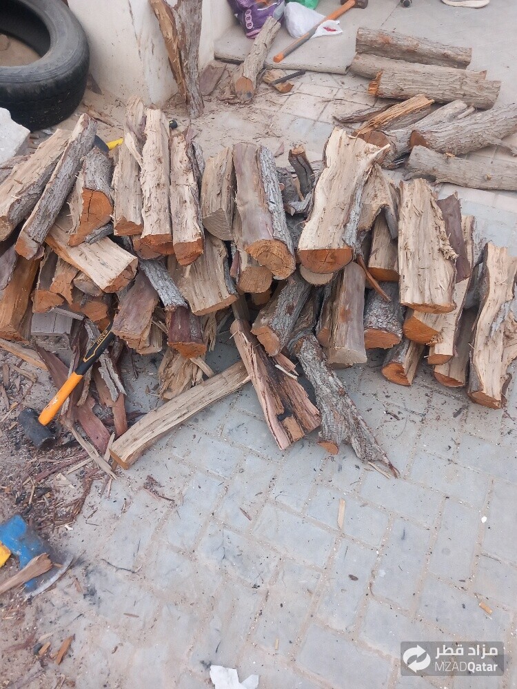 نقوم بتقطيع حطب حق النار - 1