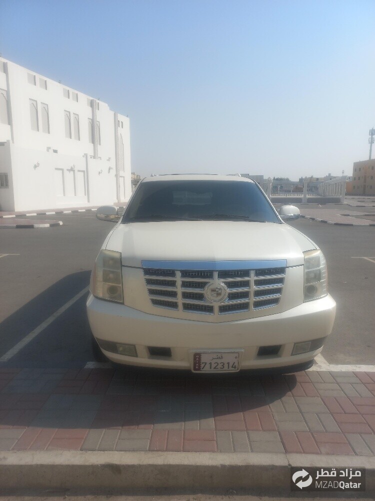 سكاليد ٢٠١٠ - 2