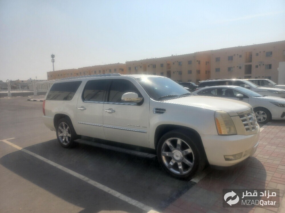 سكاليد ٢٠١٠ - 1
