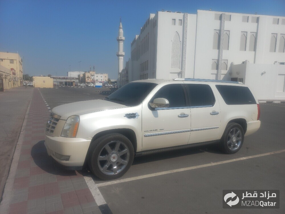 سكاليد ٢٠١٠ - 3