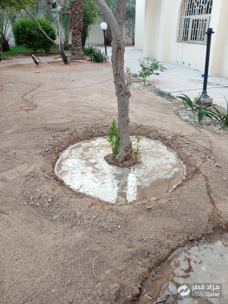مھروان البلوشی - 8