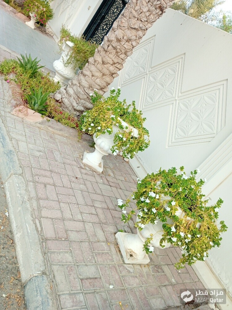 مھروان البلوشی - 3