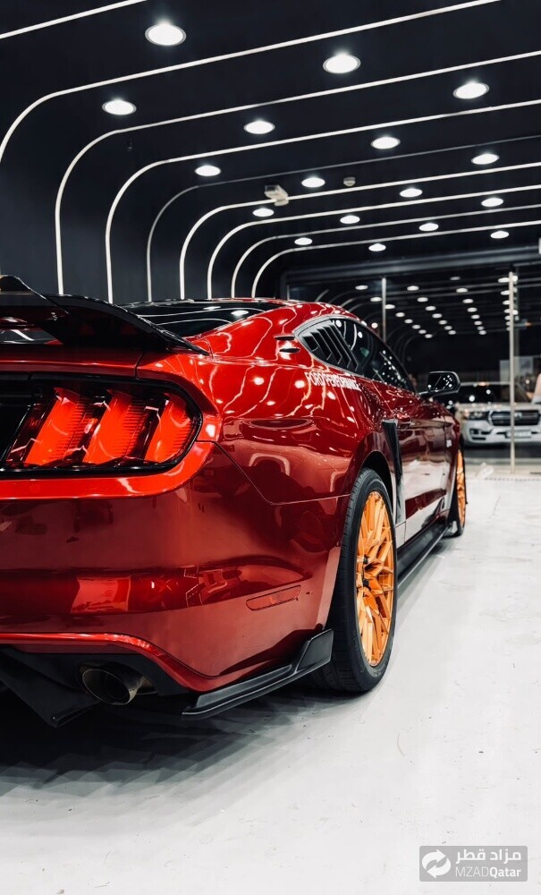 Paint Protection Film - 10