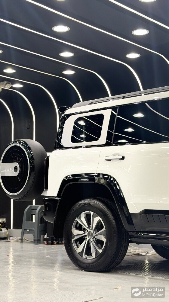 Paint Protection Film - 6
