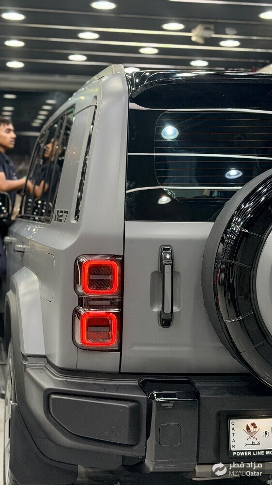 Paint Protection Film - 5