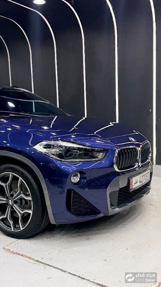 Paint Protection Film - 2