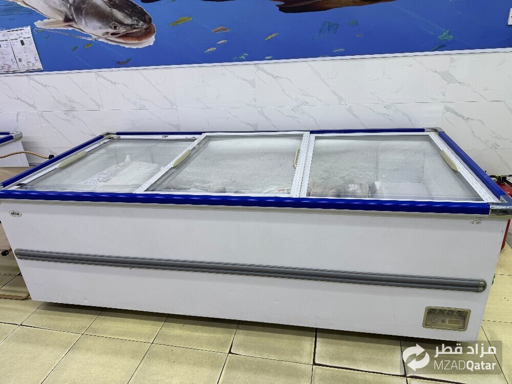 fish freezer for sale - 1