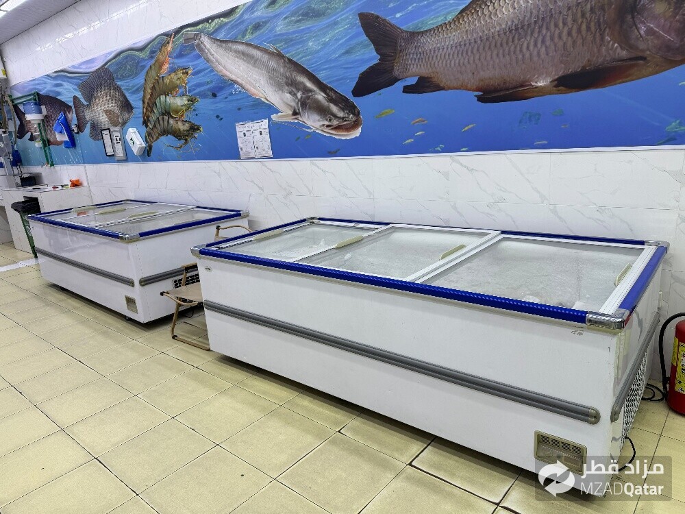 fish freezer for sale - 3