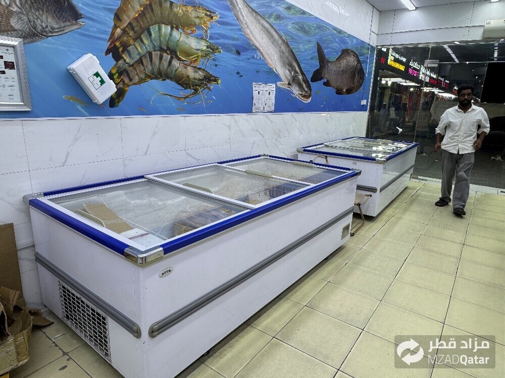fish freezer for sale - 2