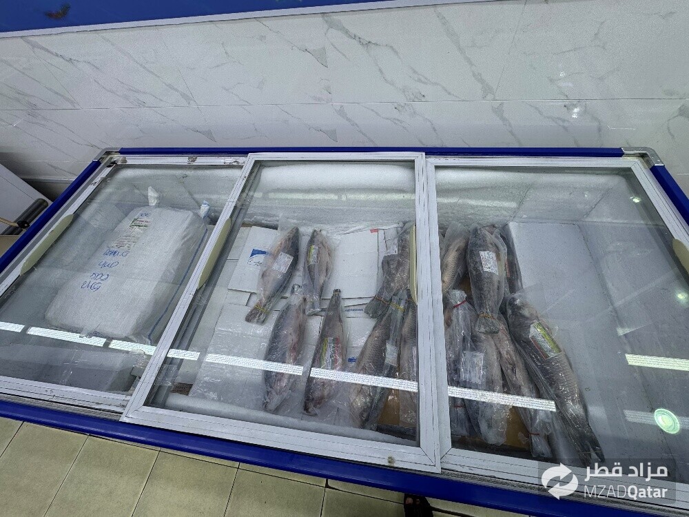fish freezer for sale - 5