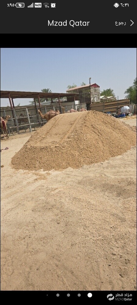 رمل مغسول - 1