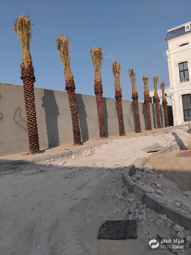 لزراعة وتنسيق أجمل الحدايق - 1