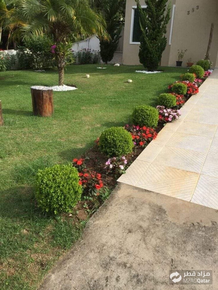 الزراعه والديكور - 1
