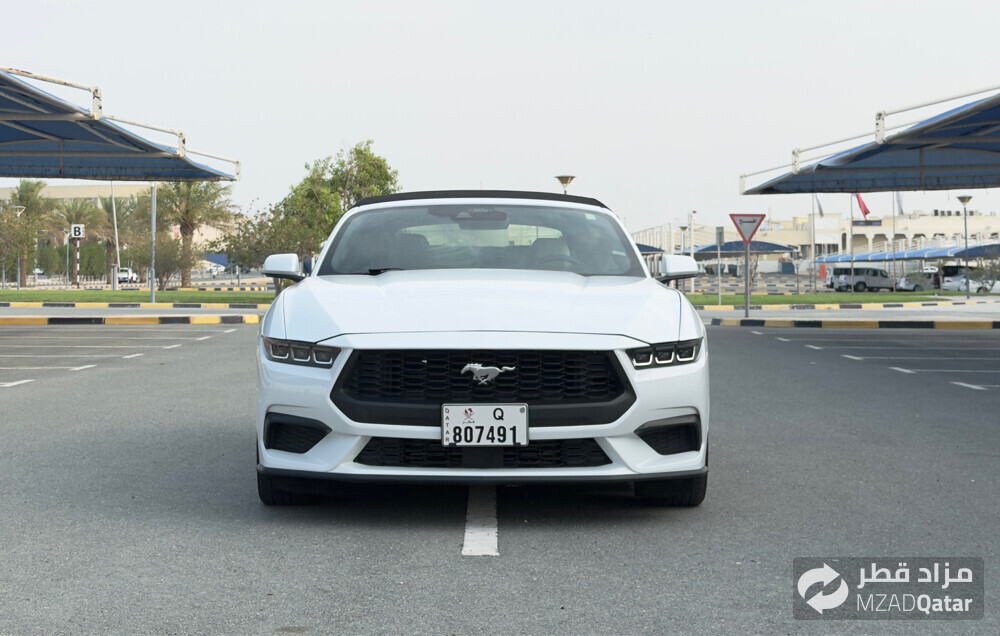 FORD MUSTANG PREMIUM ORIGINAL PAINT - 1