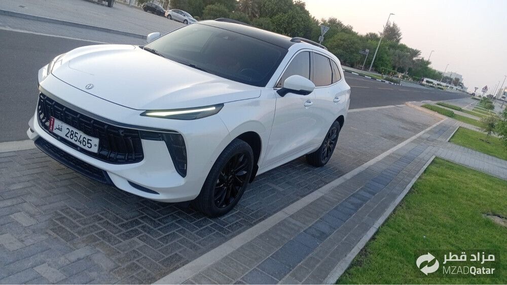 للبيع دونج - 2