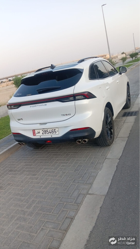 للبيع دونج - 4