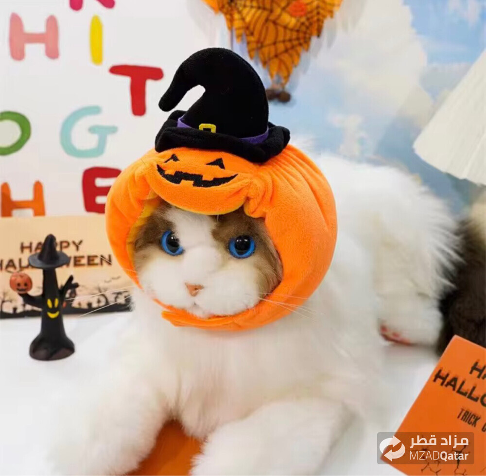 pumpkin Halloween cat hat - 3