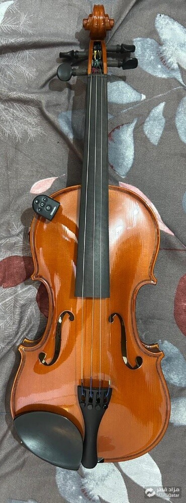 Violin - 7