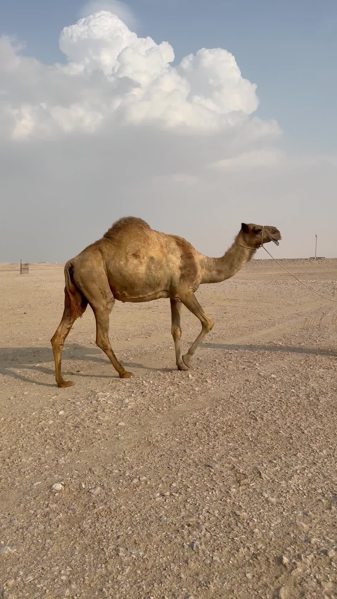 للبيع متلي - 1