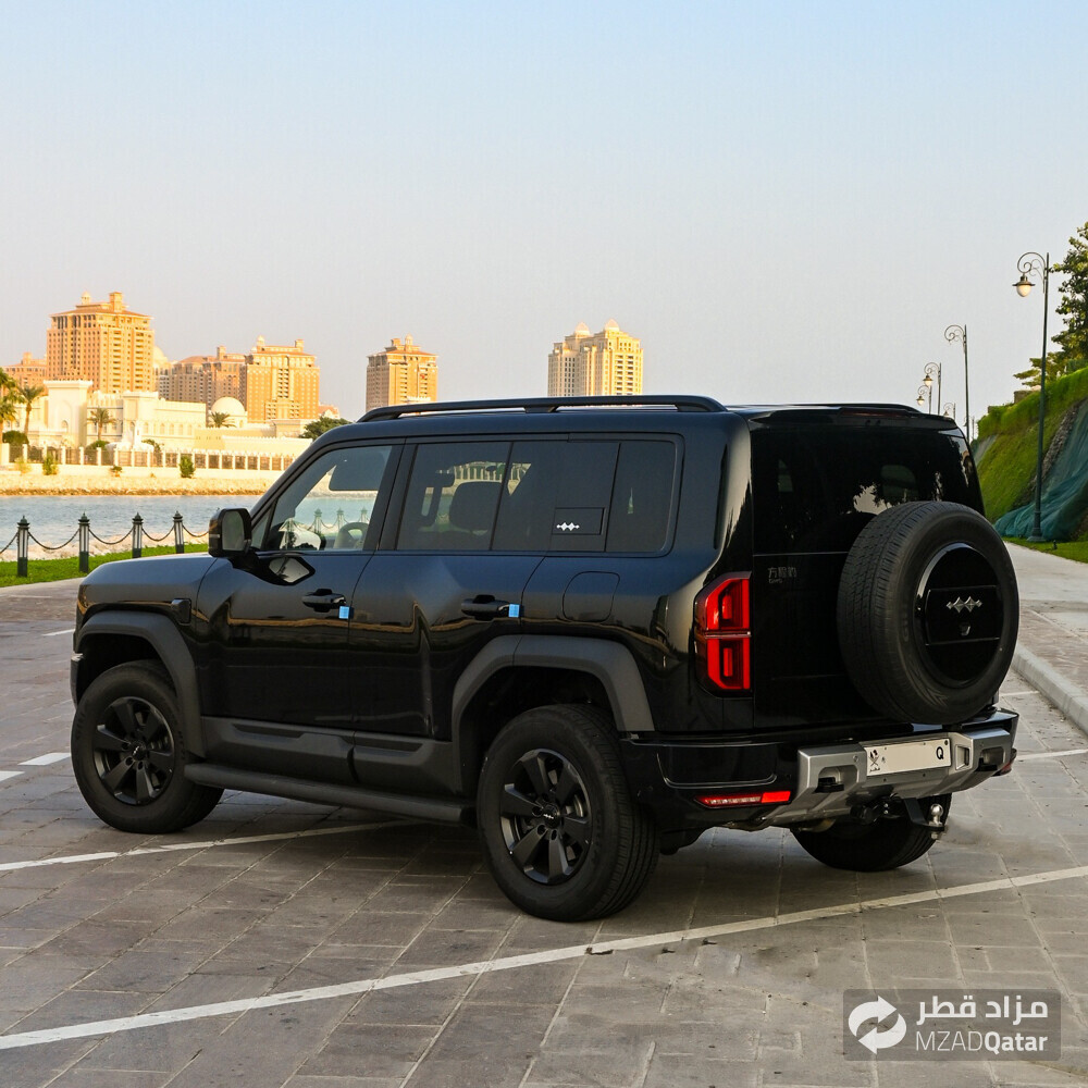 ليوبارد - 6