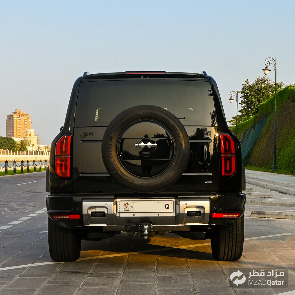 ليوبارد - 2