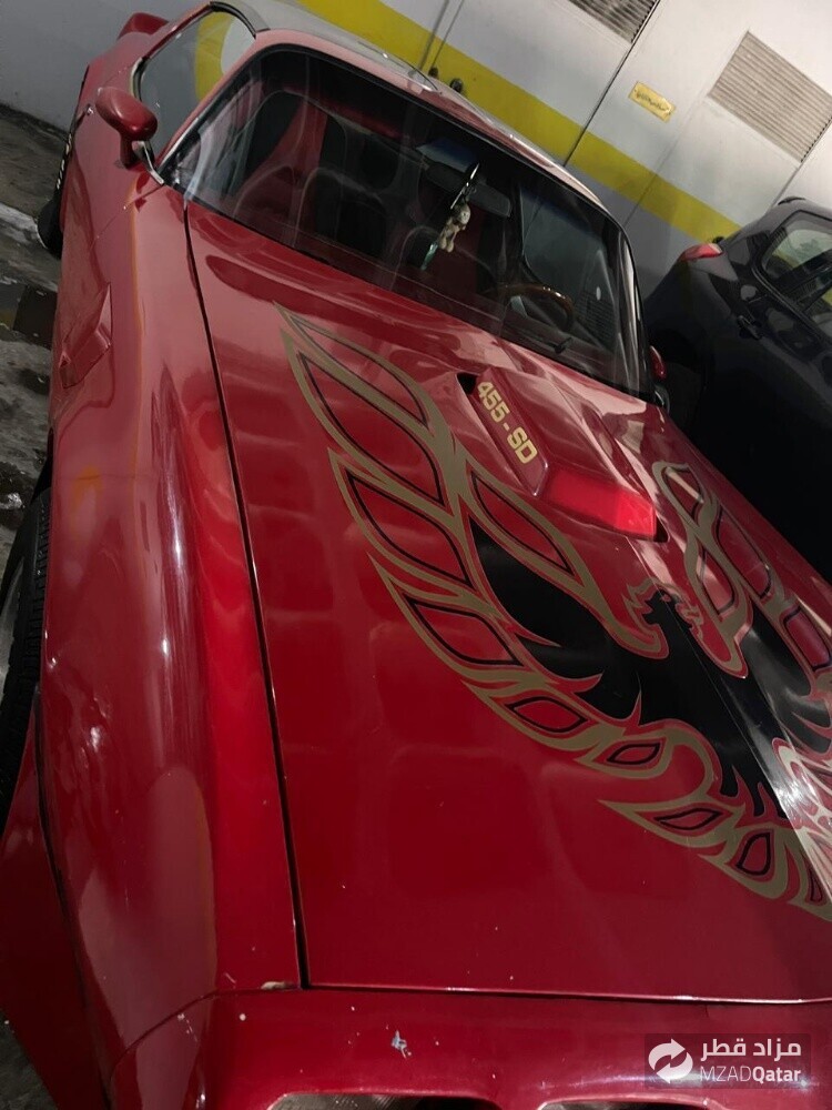 1979 Pontiac Firebird Trans Am V8 - 6